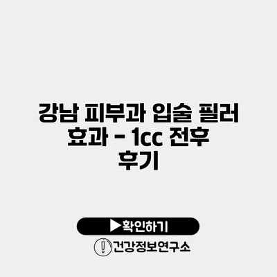 강남 피부과 입술 필러 효과 - 1cc 전후 후기