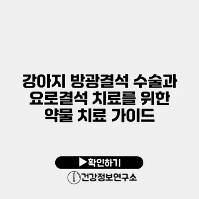 강아지 방광결석 수술과 요로결석 치료를 위한 약물 치료 가이드