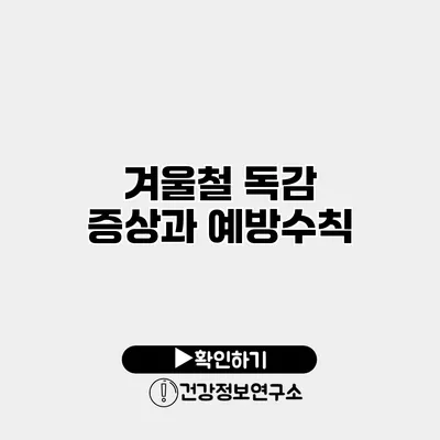 겨울철 독감 증상과 예방수칙