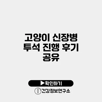 고양이 신장병 투석 진행 후기 공유