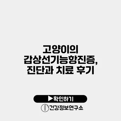 고양이의 갑상선기능항진증, 진단과 치료 후기