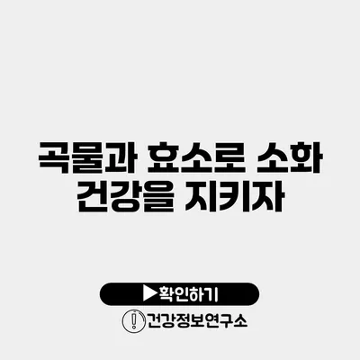 곡물과 효소로 소화 건강을 지키자