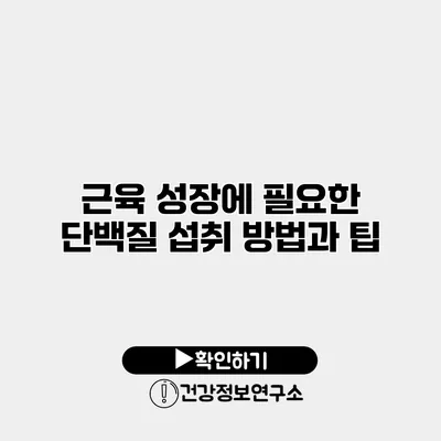 근육 성장에 필요한 단백질 섭취 방법과 팁