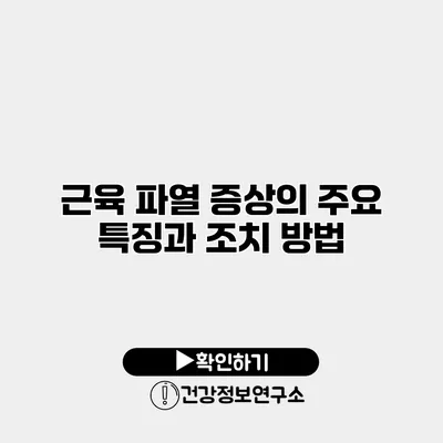 근육 파열 증상의 주요 특징과 조치 방법
