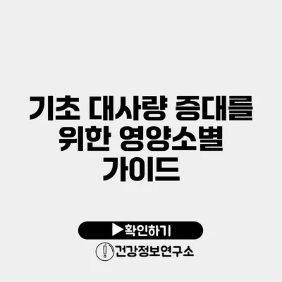 기초 대사량 증대를 위한 영양소별 가이드