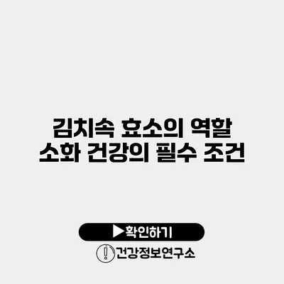 김치속 효소의 역할 소화 건강의 필수 조건