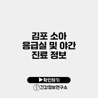 김포 소아 응급실 및 야간 진료 정보