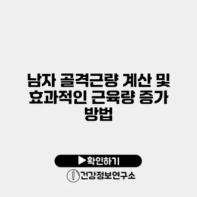 남자 골격근량 계산 및 효과적인 근육량 증가 방법