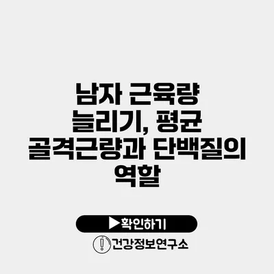 남자 근육량 늘리기, 평균 골격근량과 단백질의 역할