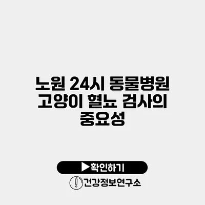 노원 24시 동물병원 고양이 혈뇨 검사의 중요성