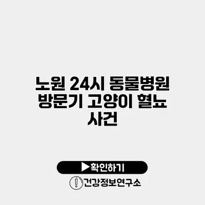 노원 24시 동물병원 방문기 고양이 혈뇨 사건