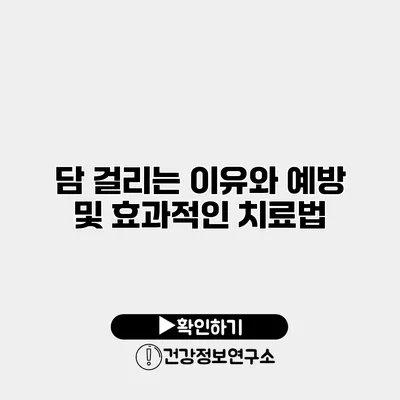 담 걸리는 이유와 예방 및 효과적인 치료법