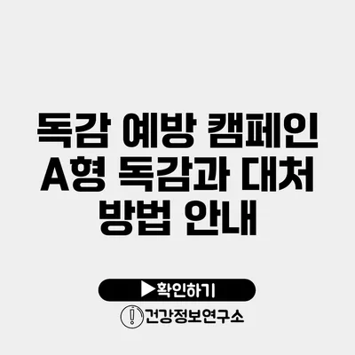 독감 예방 캠페인 A형 독감과 대처 방법 안내