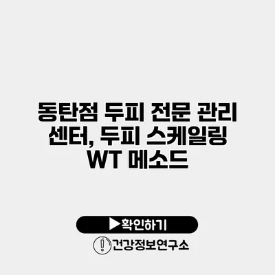 동탄점 두피 전문 관리 센터, 두피 스케일링 WT 메소드