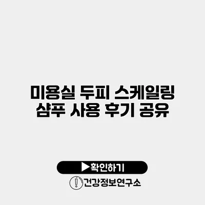 미용실 두피 스케일링 샴푸 사용 후기 공유