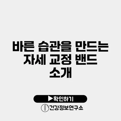 바른 습관을 만드는 자세 교정 밴드 소개