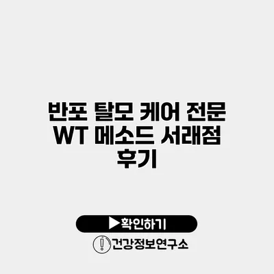 반포 탈모 케어 전문 WT 메소드 서래점 후기