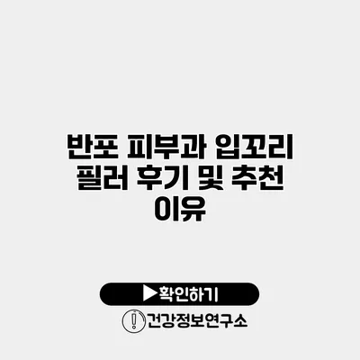 반포 피부과 입꼬리 필러 후기 및 추천 이유