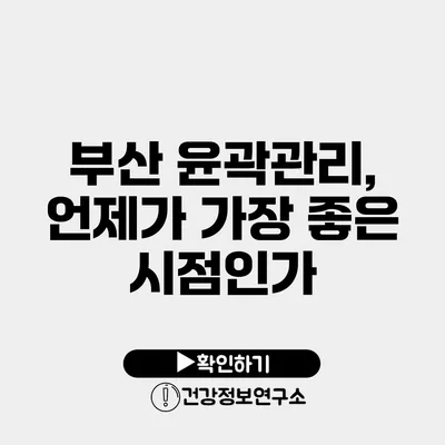 부산 윤곽관리, 언제가 가장 좋은 시점인가?