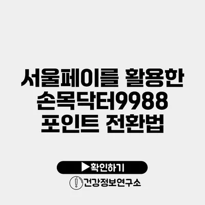 서울페이를 활용한 손목닥터9988 포인트 전환법