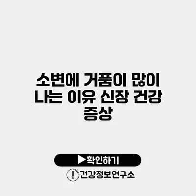 소변에 거품이 많이 나는 이유 신장 건강 증상