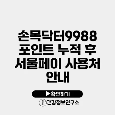 손목닥터9988 포인트 누적 후 서울페이 사용처 안내