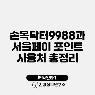 손목닥터9988과 서울페이 포인트 사용처 총정리