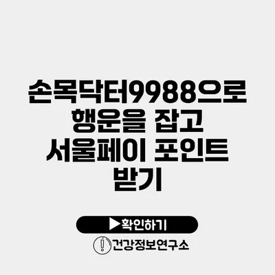 손목닥터9988으로 행운을 잡고 서울페이 포인트 받기