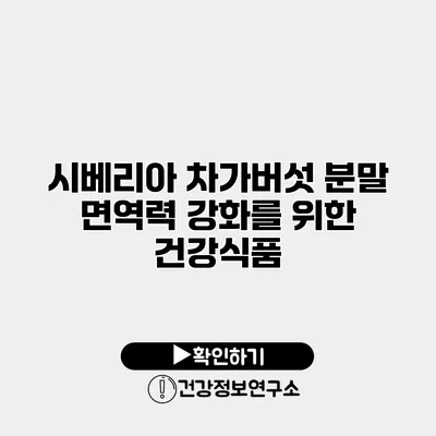 시베리아 차가버섯 분말 면역력 강화를 위한 건강식품