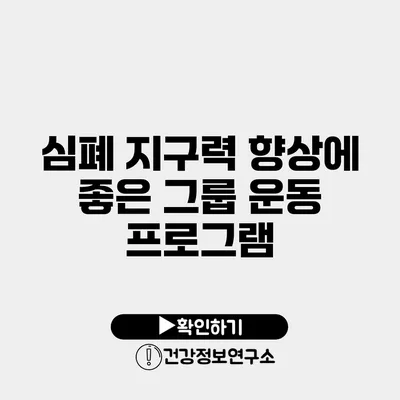 심폐 지구력 향상에 좋은 그룹 운동 프로그램