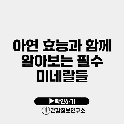 아연 효능과 함께 알아보는 필수 미네랄들