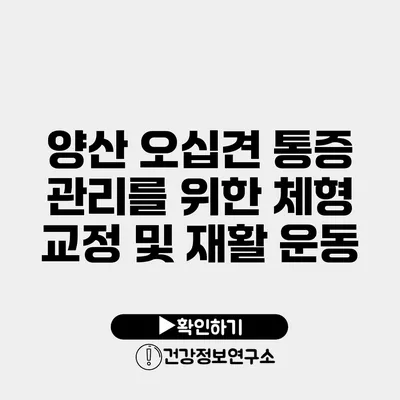 양산 오십견 통증 관리를 위한 체형 교정 및 재활 운동