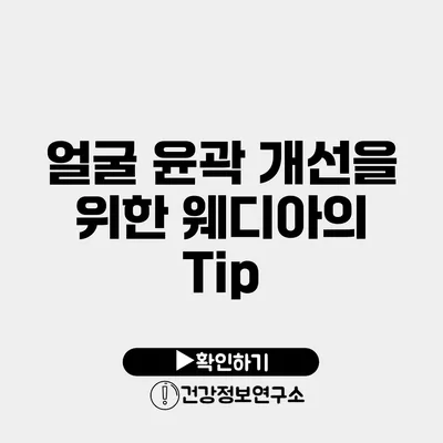 얼굴 윤곽 개선을 위한 웨디아의 Tip