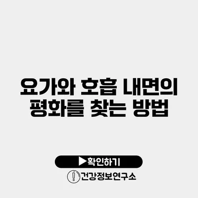 요가와 호흡 내면의 평화를 찾는 방법