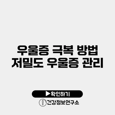 우울증 극복 방법 저밀도 우울증 관리