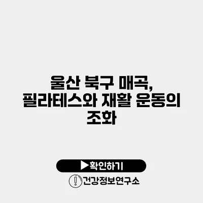 울산 북구 매곡, 필라테스와 재활 운동의 조화