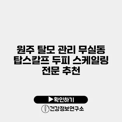 원주 탈모 관리 무실동 탑스칼프 두피 스케일링 전문 추천