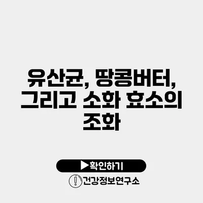 유산균, 땅콩버터, 그리고 소화 효소의 조화