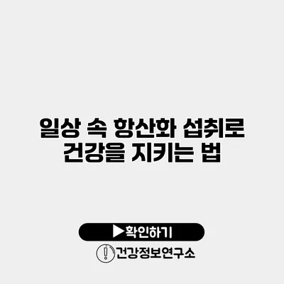 일상 속 항산화 섭취로 건강을 지키는 법