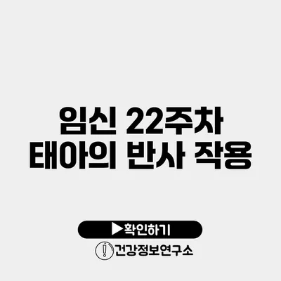 임신 22주차 태아의 반사 작용