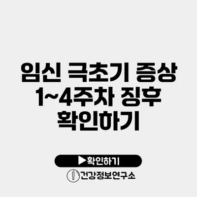 임신 극초기 증상 1~4주차 징후 확인하기