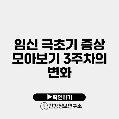 임신 극초기 증상 모아보기 3주차의 변화