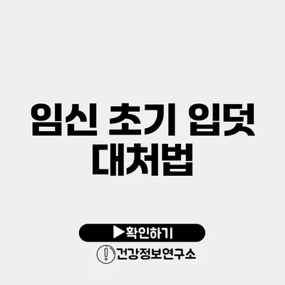 임신 초기 입덧 대처법