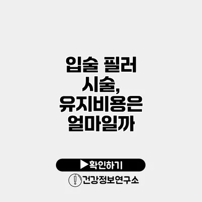 입술 필러 시술, 유지비용은 얼마일까?