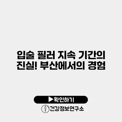 입술 필러 지속 기간의 진실! 부산에서의 경험