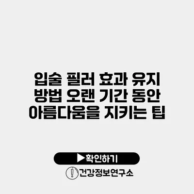 입술 필러 효과 유지 방법 오랜 기간 동안 아름다움을 지키는 팁