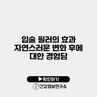 입술 필러의 효과 자연스러운 변화 후에 대한 경험담
