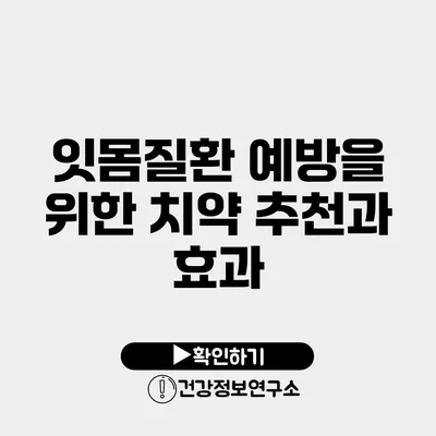 잇몸질환 예방을 위한 치약 추천과 효과