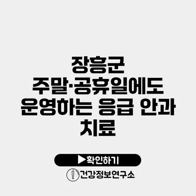 장흥군 주말·공휴일에도 운영하는 응급 안과 치료