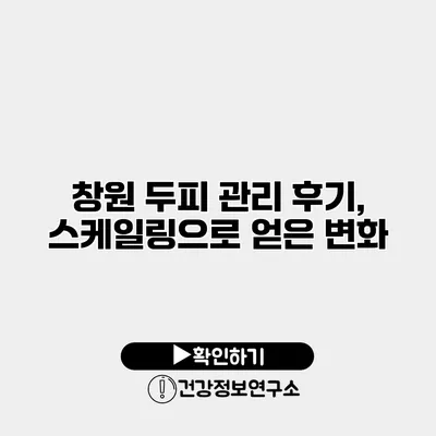 창원 두피 관리 후기, 스케일링으로 얻은 변화